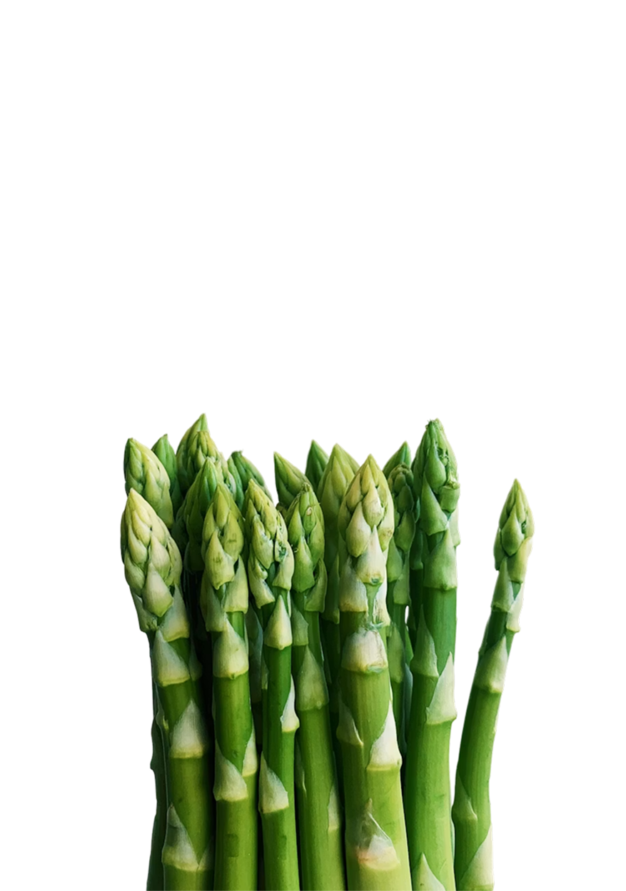 Fresh asparagus